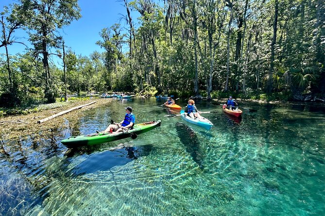 Silver Springs Kayak Rental - The Best Florida Adventure - The Boats Matter: Stable Kayaks, Backrests, and Real Weight Limits