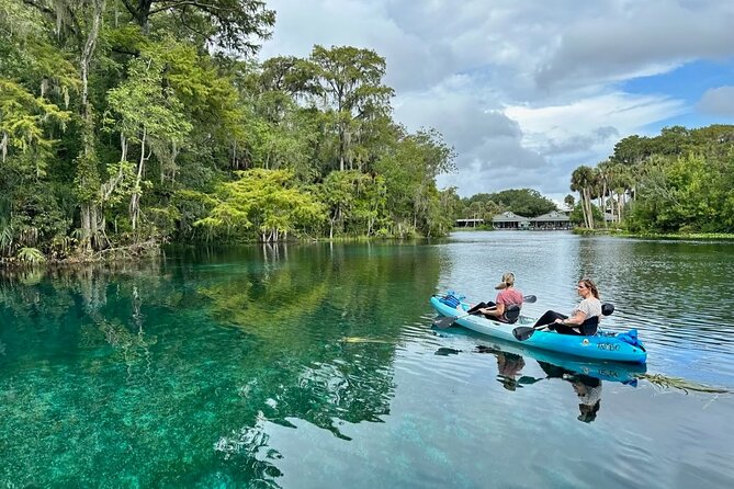 Silver Springs Kayak Rental - The Best Florida Adventure - Logistics and Booking Reality: How to Avoid Common Headaches