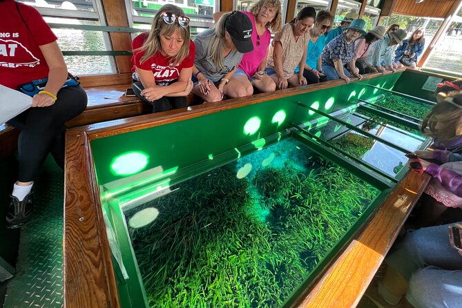 Silver Springs Manatee Kayak, Glass Boat Small Group Max 14 Tour - Kayaks and Paddle Options: Up Close Without the Big Commitments