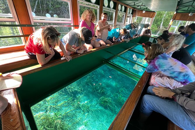 Silver Springs Manatee Kayak, Glass Boat Small Group Max 14 Tour - On Land: Trails, Overlooks, and a Slower Kind of Wildlife Time