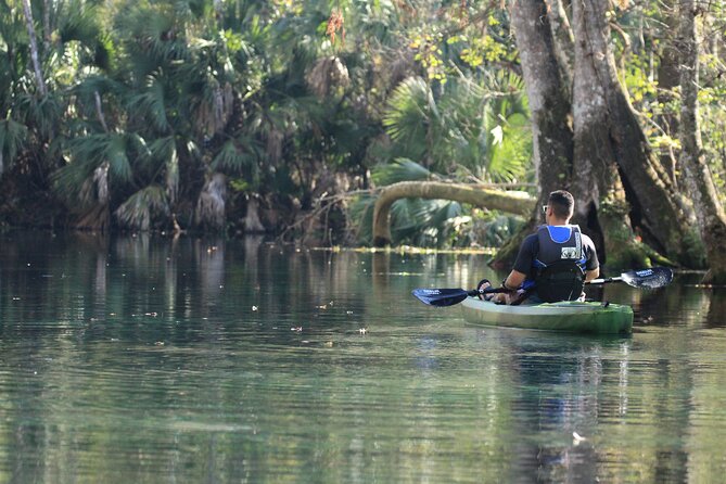 Silver Springs Manatee Kayak Tour - The guide experience: what makes it feel personal