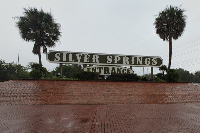 Silver Springs Manatee Kayak Tour - Pacing and weather: why timing can shift