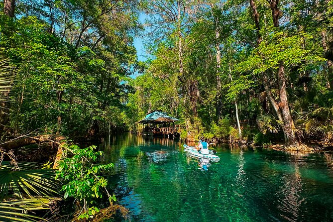Silver Springs Manatee & Monkeys Paddle Board Tour - Your 2-Hour Paddle Plan: Headspring Glide to Fort King Trail