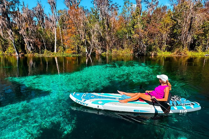 Silver Springs Manatee & Monkeys Paddle Board Tour - The Comfort and Safety Stuff You’ll Feel Immediately
