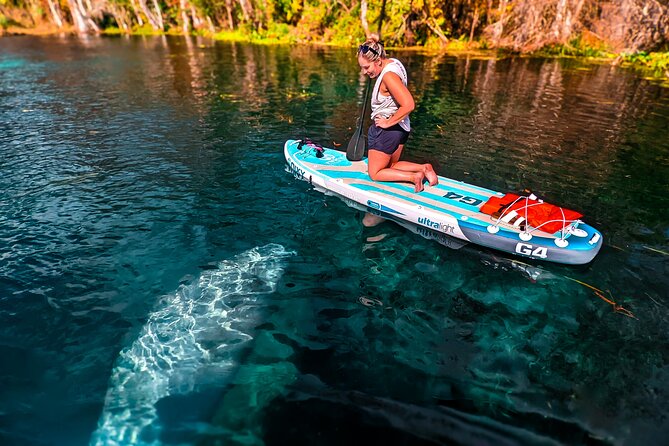 Silver Springs Manatee & Monkeys Paddle Board Tour - Price and What You Actually Get: $69 Plus the Park Fee