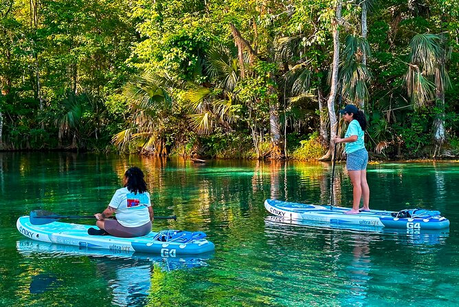 Silver Springs Manatee & Monkeys Paddle Board Tour - Meeting at Silver Springs and Making It Smooth