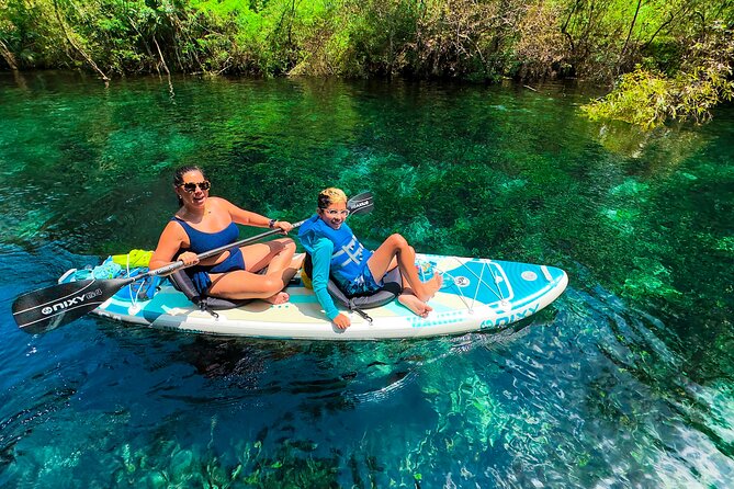 Silver Springs Manatee & Monkeys Paddle Board Tour - Should You Book Otter Paddle Orlando’s Silver Springs Manatee and Monkey Tour?