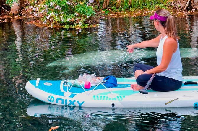 Silver Springs Manatee & Monkeys Paddle Board Tour - Wildlife at Eye Level: Manatees, Monkeys, and More Names to Learn