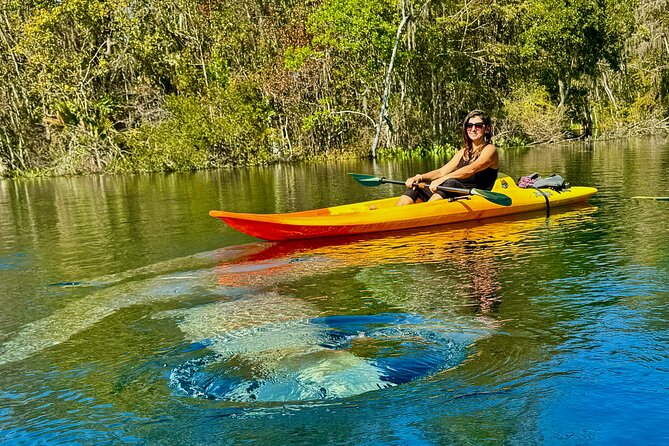 Silver Springs Premium Florida Wildlife Experience! - Wildlife Spotting That Feels Respectful (Not Like a Chase)