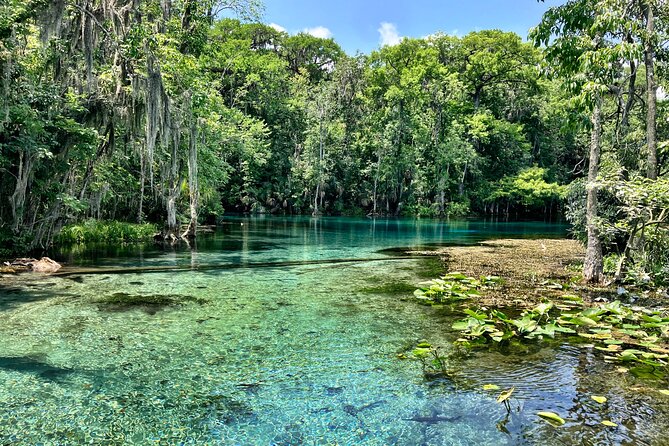 Silver Springs Premium Florida Wildlife Experience! - The Guide Makes It: Tania’s Teaching Style (and Why It Matters)