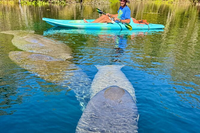 Silver Springs Premium Florida Wildlife Experience! - What You Actually Do in the Water (and What You’re Not Doing)