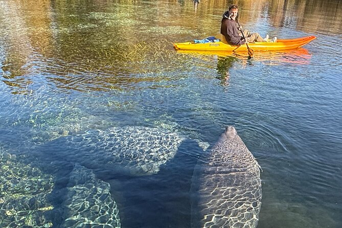 Silver Springs Premium Florida Wildlife Experience! - Price and Extra Fees: The Real Cost of the $65 Ticket