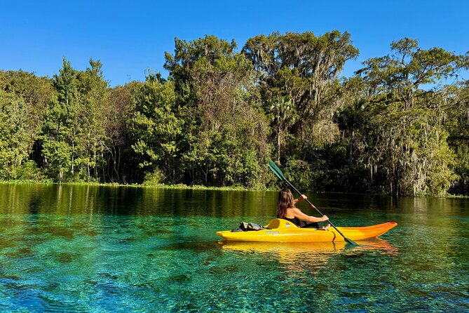 Silver Springs Premium Florida Wildlife Experience! - Timing, Meeting Point, and How to Plan Your Day