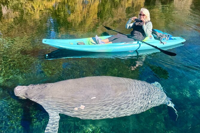 Silver Springs Premium Florida Wildlife Experience! - Under the Cypress and Spanish Moss: The Water and Scenery Setup