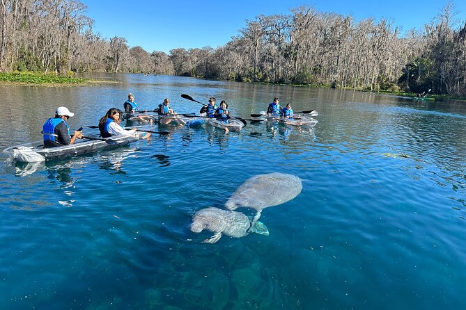 Silver Springs Self Guided Clear Kayak Rentals - King’s Trail Along the Shoreline: Monkeys and Old Relics