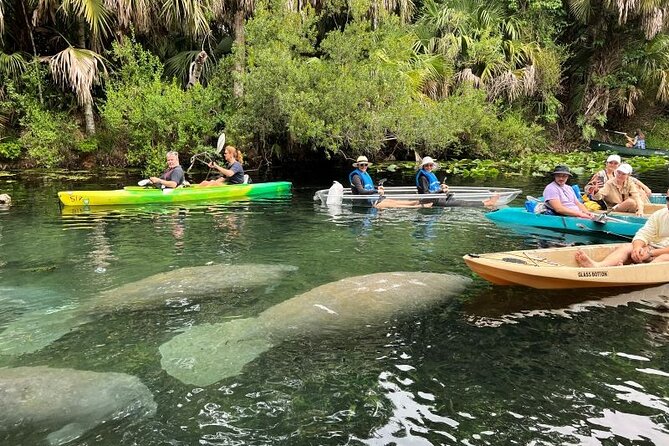Silver Springs Self Guided Clear Kayak Rentals - Treasure Hunt Maps and Sunken Finds You Can Actually Follow