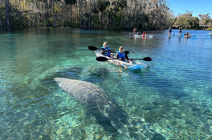 Silver Springs Self Guided Clear Kayak Rentals - Arriving at the Main Spring: 550 Gallons a Day of Crystal Water