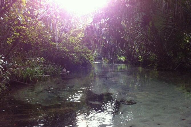 Silver Springs Self Guided Clear Kayak Rentals - What to Pack and How to Paddle Comfortably for Two Hours