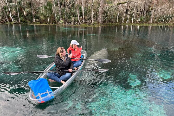 Silver Springs Self Guided Clear Kayak Rentals - Price and Value vs. Other Ways to Do Silver Springs