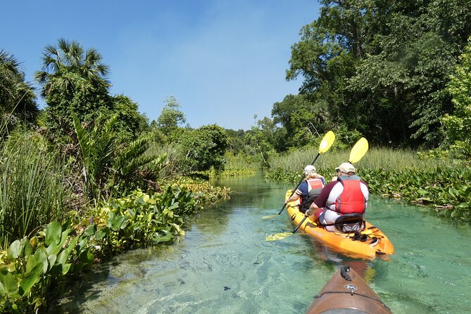 Small Group Rock Springs Run Eco Kayak Adventure - Rock Springs Run: Florida Springs Country, Not a Theme Park