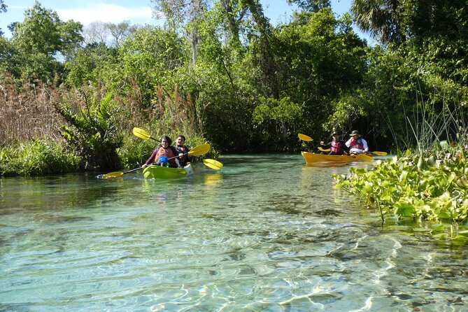 Small Group Rock Springs Run Eco Kayak Adventure - Guides Like Jimi, Sue, and Astrid Make This Feel Personal