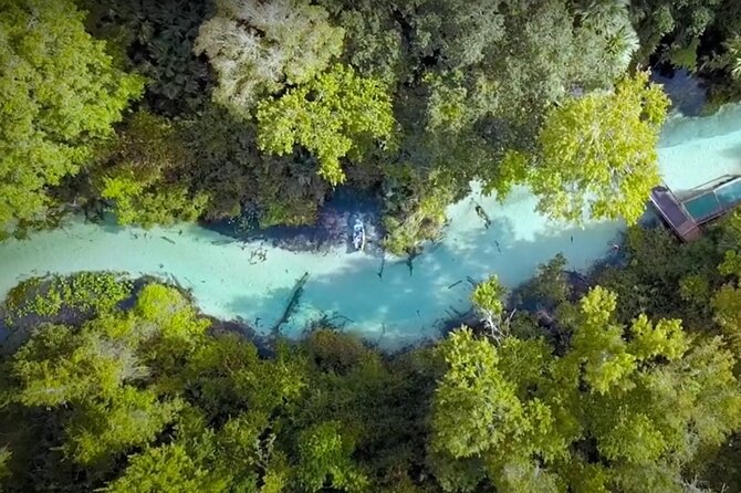 Small Group Rock Springs Run Eco Kayak Adventure - Price and Value: $95 That Feels Fair for Orlando Nature