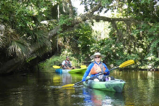 Small Group Scenic Wekiva River Kayak Tour near Orlando - Katie’s Landing Launch: Getting Set for a Smooth Paddle