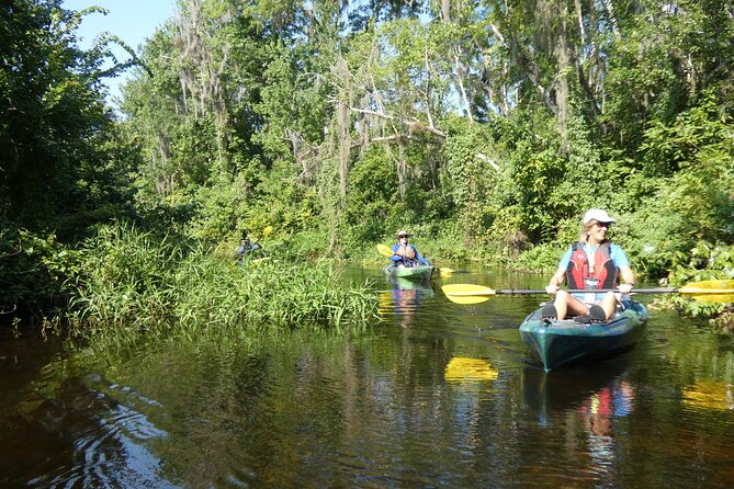 Small Group Scenic Wekiva River Kayak Tour near Orlando - The Mid-Tour Swim Break: Cold Water, Big Relief