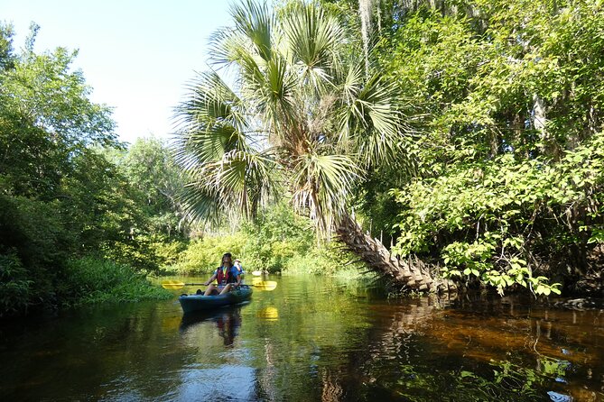 Small Group Scenic Wekiva River Kayak Tour near Orlando - Timing: What a 2.5-Hour Tour Feels Like