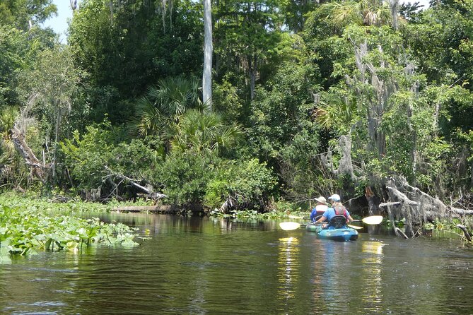 Small Group Scenic Wekiva River Kayak Tour near Orlando - What You Get Included, and Why It’s Better Than Self-Renting