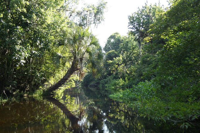 Small Group Scenic Wekiva River Kayak Tour near Orlando - Small-Group Setup: Up to 10 People, No Chaos