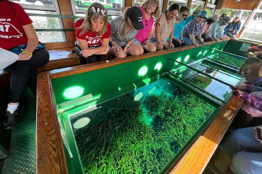 Small Group Silver Springs State Park Day Tour from Orlando - Logistics That Actually Matter: Food, Timing, and Staying Comfortable
