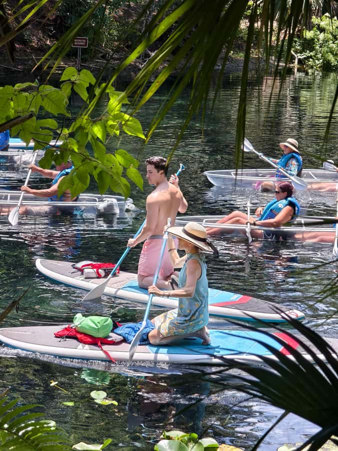 Small Group Silver Springs State Park Day Tour from Orlando - Who This Tour Fits Best (and Who Might Want Something Different)