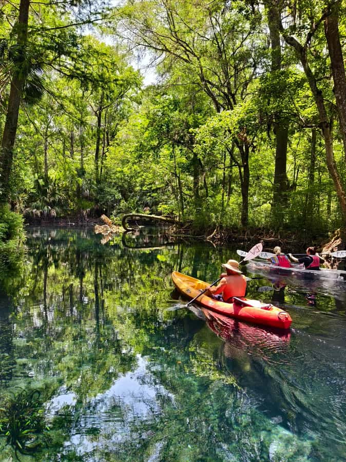 Small Group Silver Springs State Park Day Tour from Orlando - Should You Book This Small Group Silver Springs Tour?