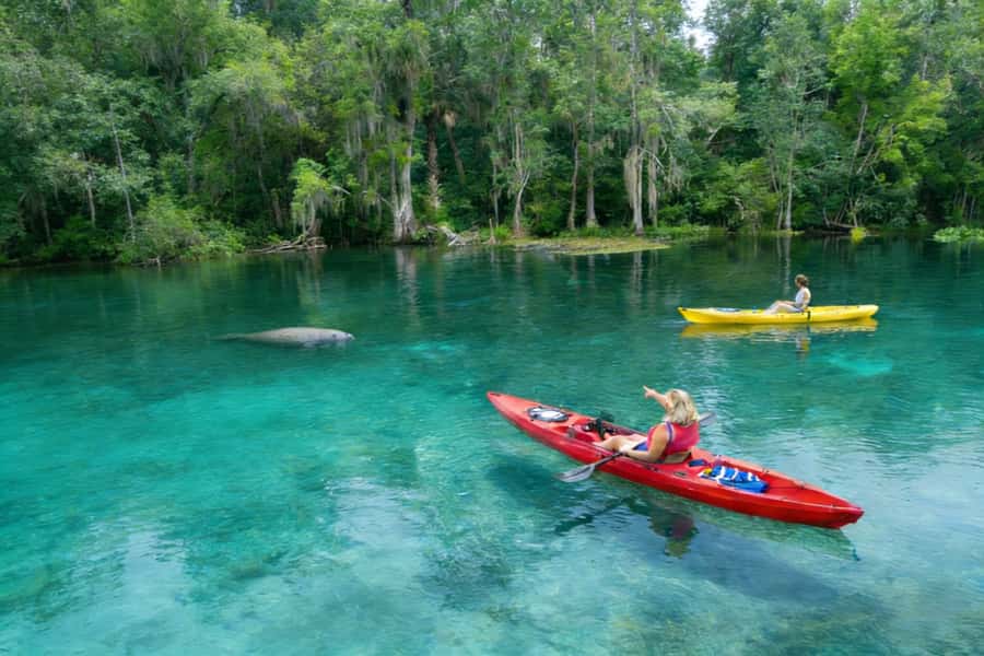 Small Group Silver Springs State Park Day Tour from Orlando - Silver Springs State Park Arrival: What You See Before Any Kayaks