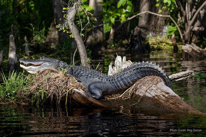 St. Johns River Lunch and Dinner Cruises in Sanford, Florida - What to bring for a comfy, low-stress cruise