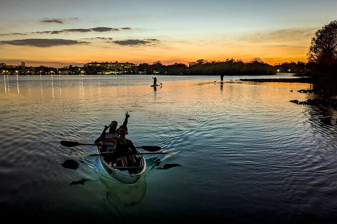 Sunset Clear Kayak or Paddleboard in Orlando - Beginner-Friendly, Family-Friendly (Including Dogs) Paddling