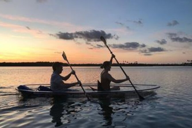 Sunset Clear Kayak or Paddleboard in Orlando - Pick the Vessel You Want: Clear Paddleboard or Clear Kayak