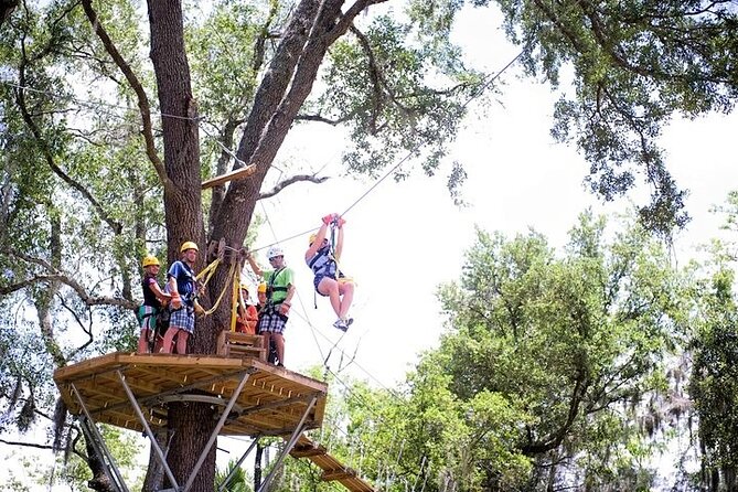 Treetop Express Zip Line Tour with 5 Zip Line Flights & 2 Sky Bridges Included - Treetop Express near Orlando: what you’re really buying for $70