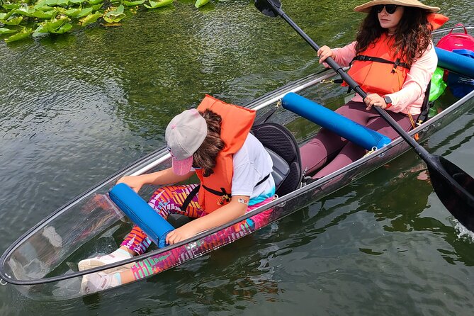 Urban Clear Kayak or Paddleboard in Paradise: Morning/Night - Choosing Your Vessel: Clear Paddleboards, Clear Kayaks, and Regular Options