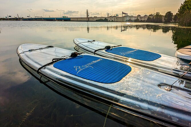 Urban Clear Kayak or Paddleboard in Paradise: Morning/Night - Price and Value: Is $65 Worth It for a First-Timer?