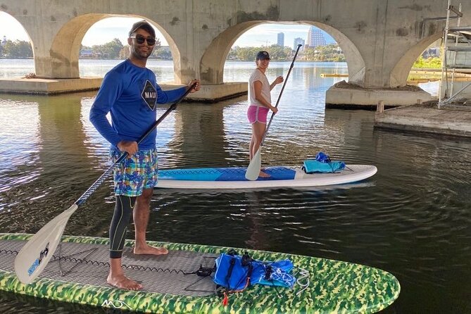 Urban Clear Kayak or Paddleboard in Paradise: Morning/Night - Who This Tour Suits Best (and Who Might Want Something Else)