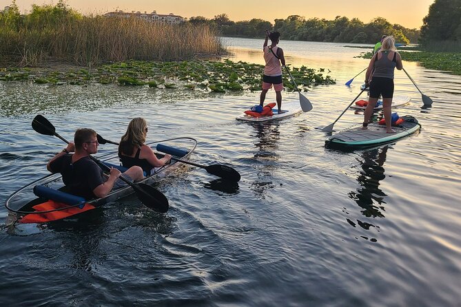 Urban Clear Kayak or Paddleboard in Paradise: Morning/Night - Photos on the Water: Why This Tour Feels “Turn-Key”