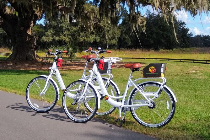 Village Bicycle Rental Free Delivery in The Villages Florida - Key highlights at a glance