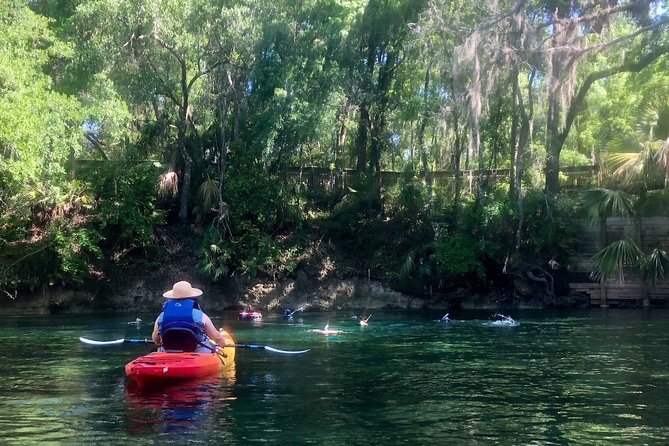 Wekiva River Guided Kayak Tour - Key highlights worth getting excited about