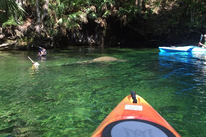Wekiva River Guided Kayak Tour - Lunch on the river: where the trip really gets its energy back