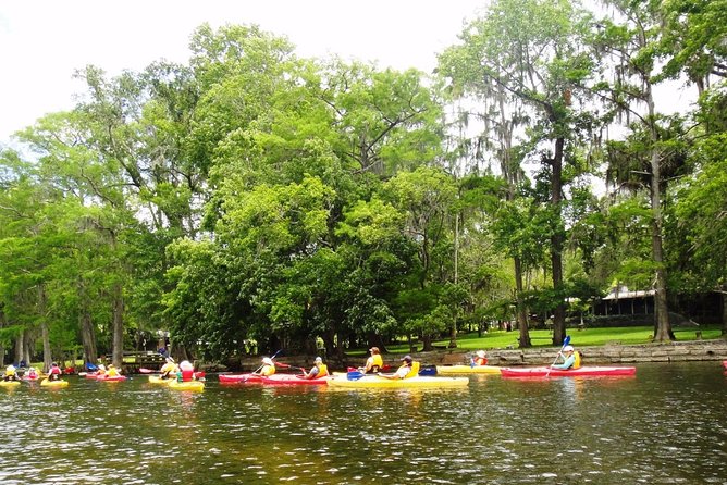 Wekiva River Guided Kayak Tour - The return paddle: same water, different mood