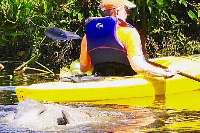 Wekiva River Guided Kayak Tour - Sanford check-in and the $3 parking fee that catches people
