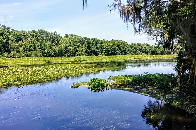 Wekiva Wildlife Kayaking Adventure Tour - Wekiva Kayaking: Why This 2-Hour Trip Works So Well