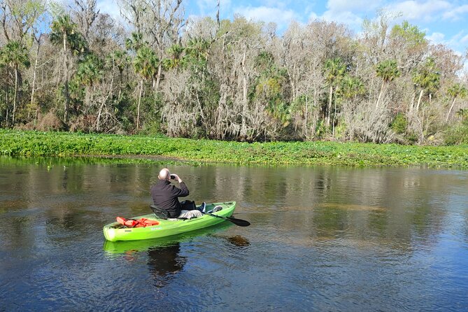 Wekiva Wildlife Kayaking Adventure Tour - Upstream for About an Hour: The Part Where You Learn to Look